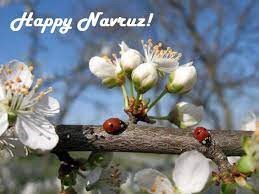 Around Karakalpakstan - Nawriz Mubarek-Happy Nawruz dear friends! 21st of March is one of the biggest holidays in Uzbekistan as well in Karakalpakstan. This is “Navruz” holiday. The word “Navruz” means in