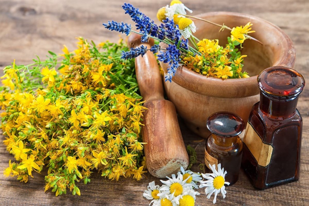 Гипогликемические свойства некоторых лекарственных растений Таджикистана