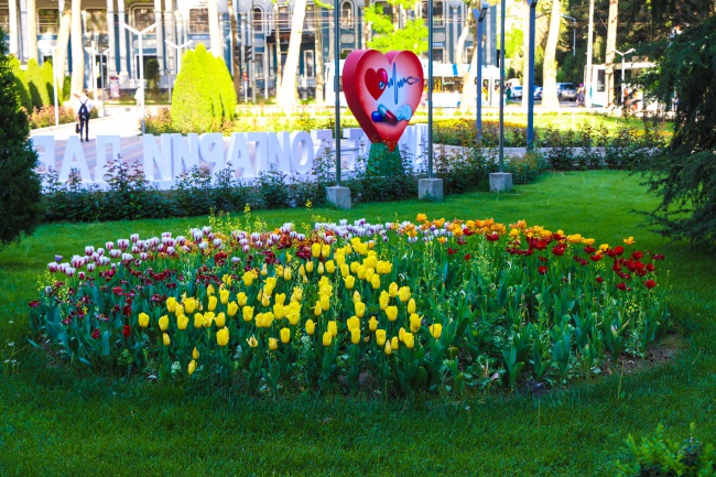 Душанбе город цветов