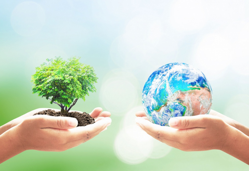 TAJIKISTAN'S ROLE IN SOLVING ENVIRONMENTAL PROBLEMS AND PREVENTING THEIR CONSEQUENCES