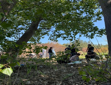 ВЕСЕННЯЯ ПРОГУЛКА