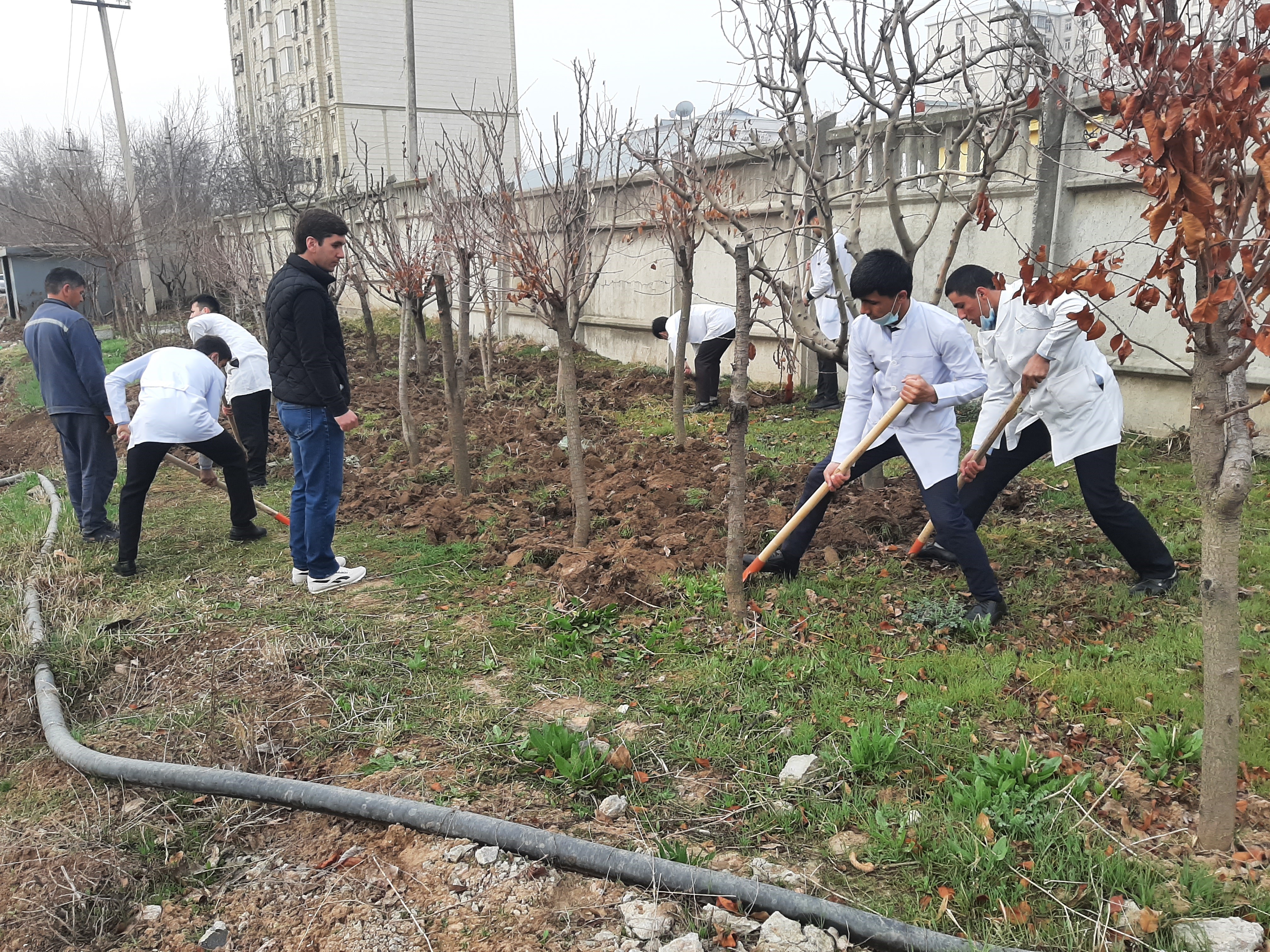 Шанбегӣ дар бинои таълимии “Шифобахш”