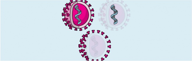 The different types of COVID-19 vaccines