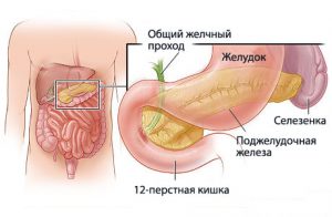 Болит поджелудочная железа? Симптомы и лечение.