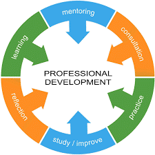 MODERN OPPORTUNITIES FOR TEACHERS' PROFESSIONAL DEVELOPMENT IN THE CONTEXT OF NEW EDUCATIONAL ENVIRONMENTS