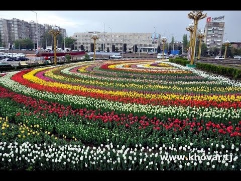 Dushanbe- A city of flowers 