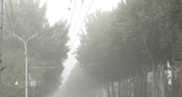 HOW DOES AIR POLLUTION AFFECT HUMAN HEALTH? AN EXPERT'S VIEW