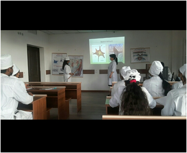 Дарси кушод дар мавзӯи Бофтаи асаб