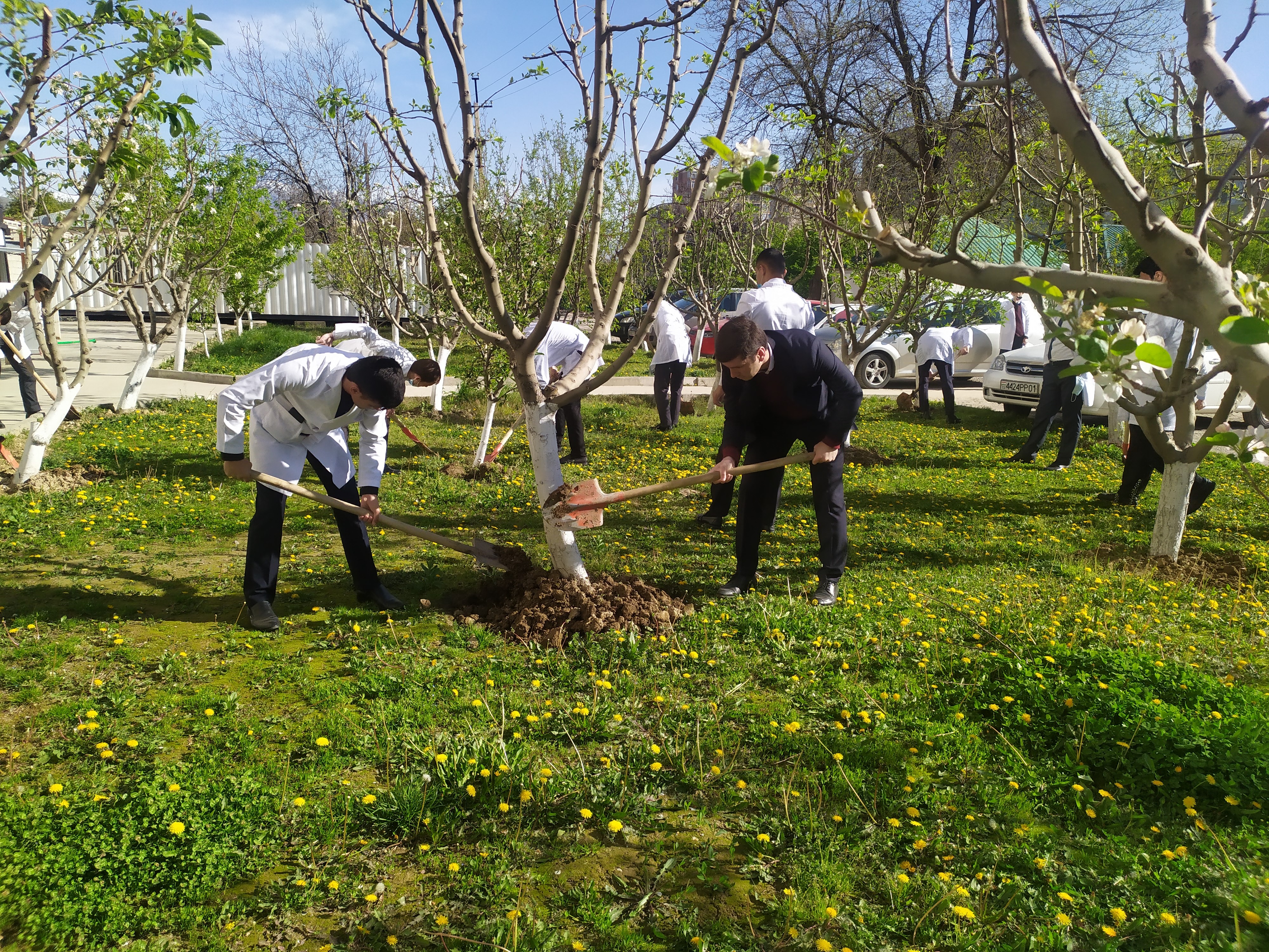 Тозагӣ-гарави саломатист 