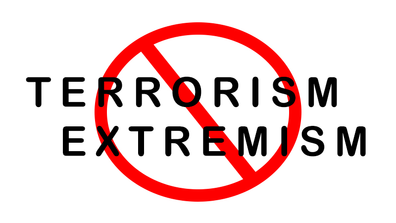 TERRORISM AND EXTREMISM: UNDESIRABLE MODERN MANIFESTATIONS 