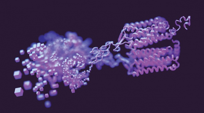 THE 2024 NOBEL PRIZE-WINNING BREAKTHROUGH IN UNDERSTANDING PROTEIN STRUCTURES