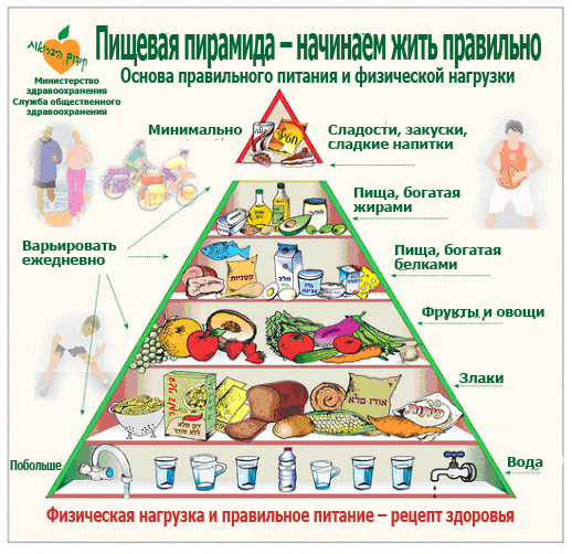 В ЗДОРОВОМ ТЕЛЕ ЗДОРОВЫЙ ДУХ