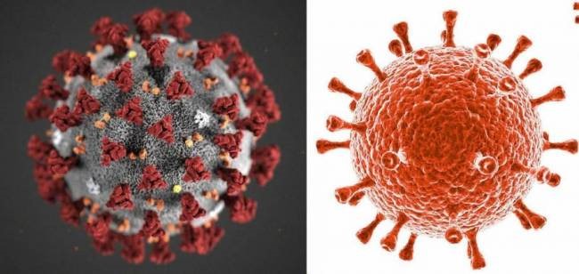 ВИЧ инфекция и коронавирус