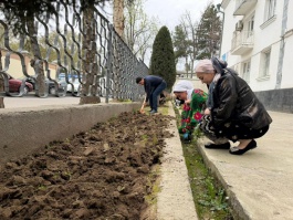 МАЪРАКАИ ГУЛШИНОНӢ ДАР МАРКАЗИ ТАШХИСИЮ ТАБОБАТӢ