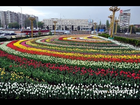 Душанбе-шаҳри гулрез