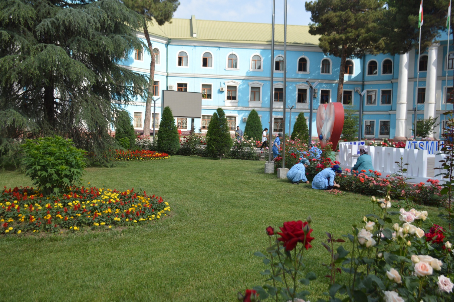 14