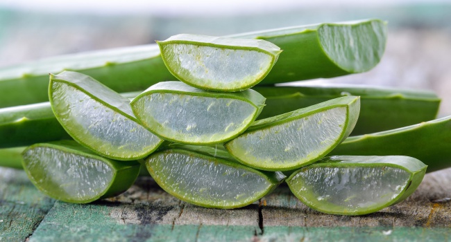 How useful is aloe?